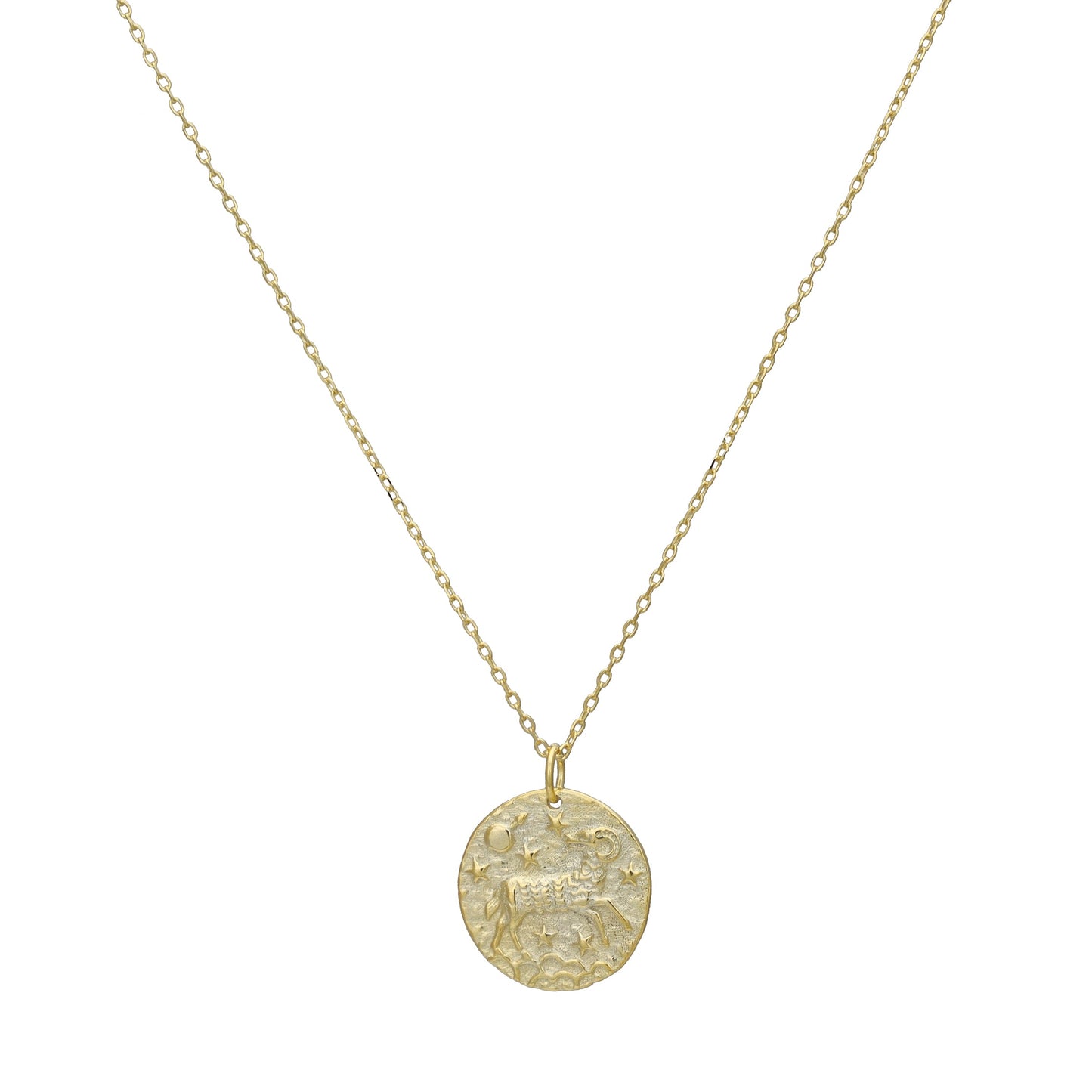 The Celestial Zodiac Coin Necklace