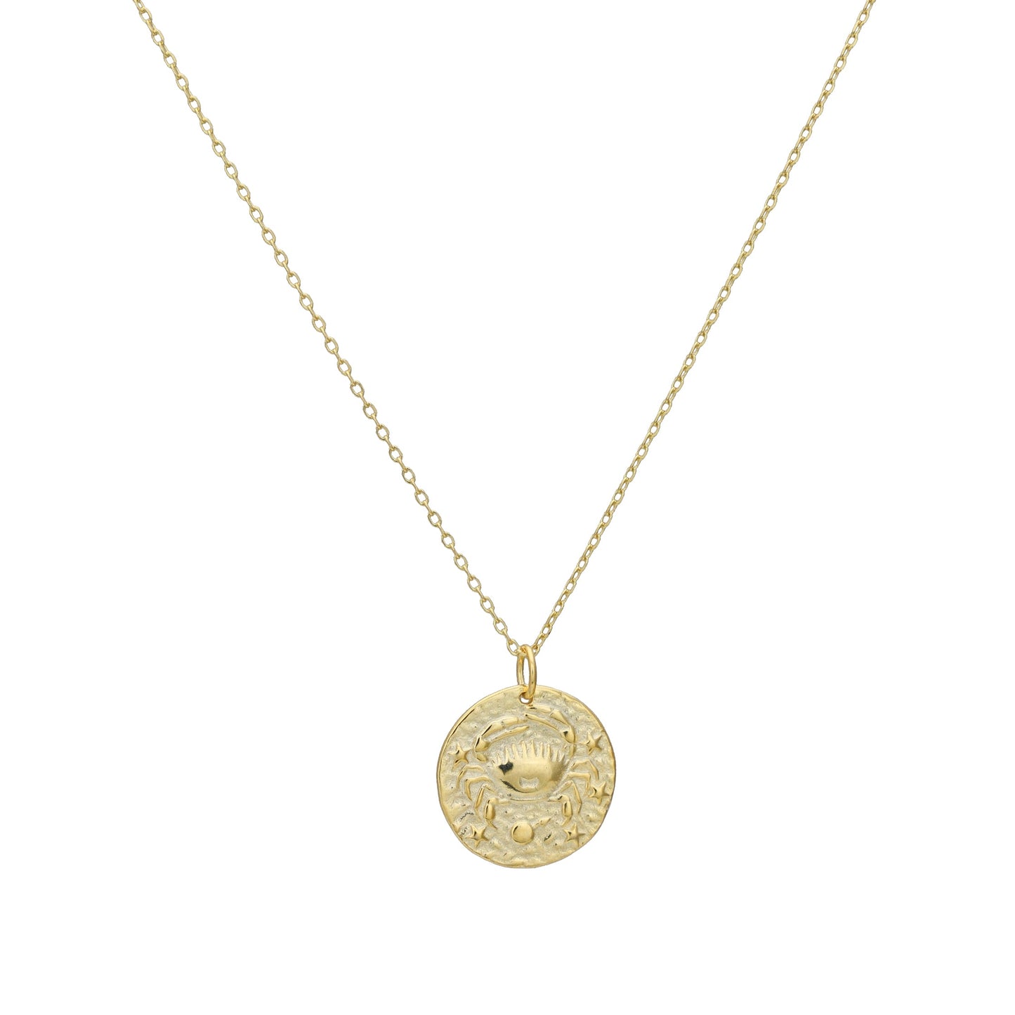 The Celestial Zodiac Coin Necklace