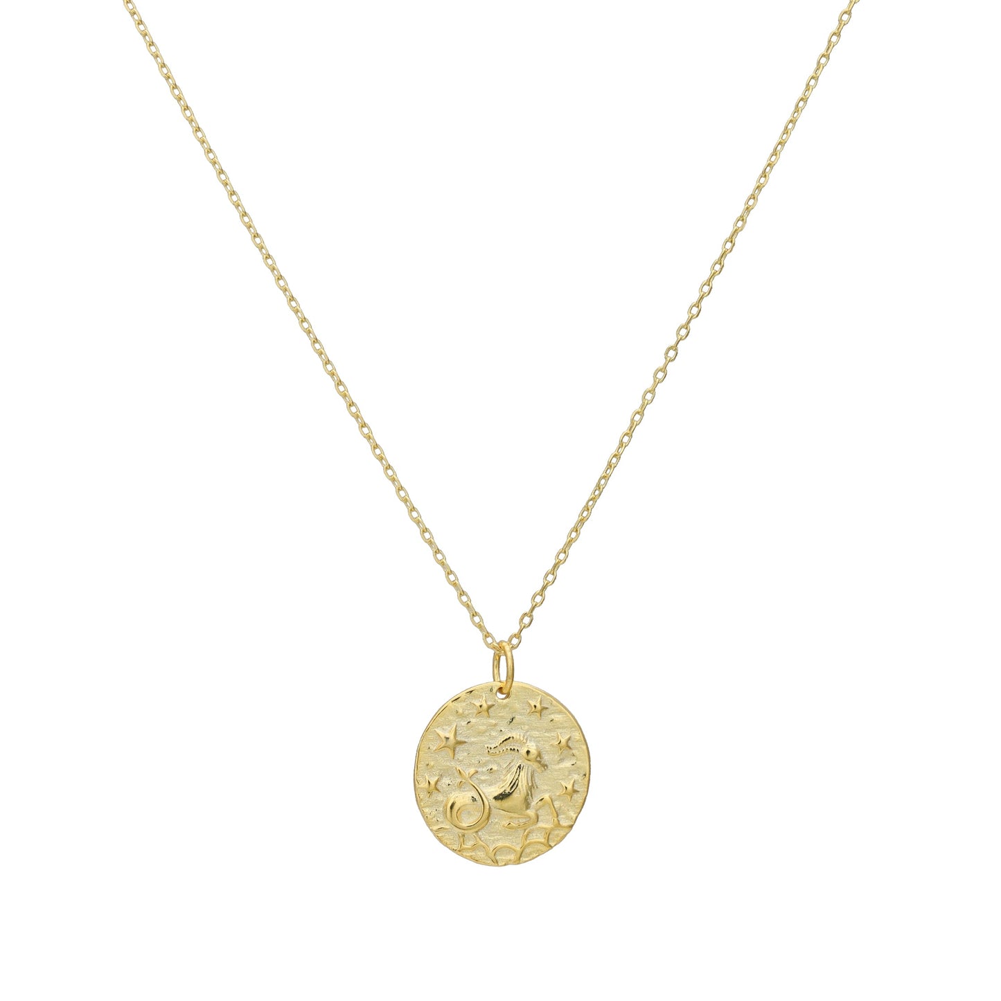 The Celestial Zodiac Coin Necklace
