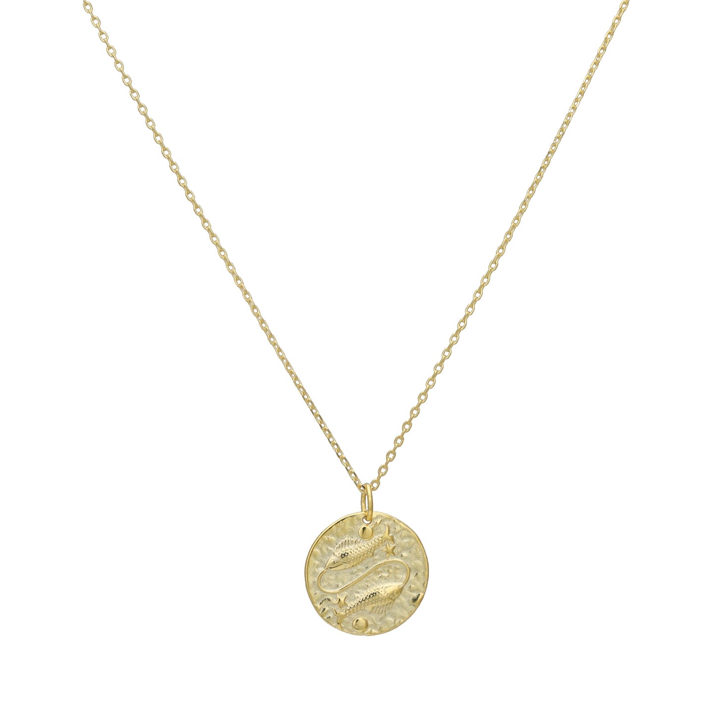 The Celestial Zodiac Coin Necklace