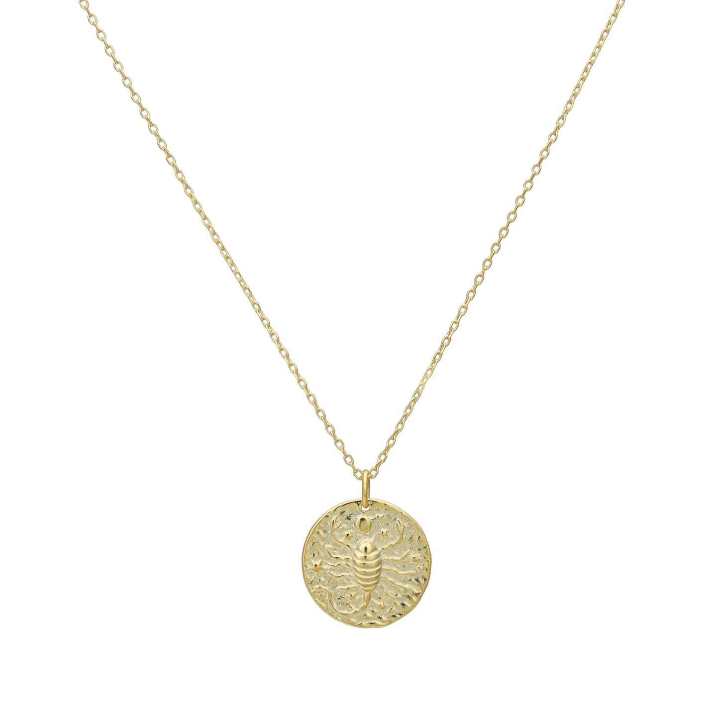 The Celestial Zodiac Coin Necklace